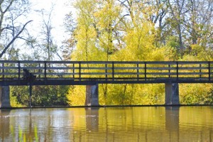 2014_10_11_1198-copy_edited-1