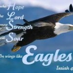 eagle.jpg.files