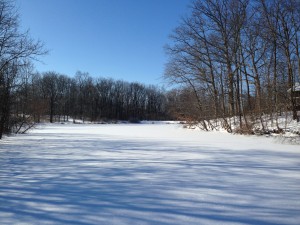 Winter Wonderland 2014